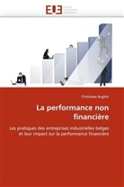Christiane Bughin, Bughin-C - La performance non financiere