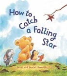 Heidi Howarth, Heidi/ Howarth Howarth, Daniel Howarth - How to Catch a Falling Star
