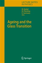 Malte Henkel, Miche Pleimling, Michel Pleimling, Roland Sanctuary - Ageing and the Glass Transition