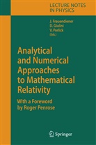 Roger Penrose, Jörg Frauendiener, Domenico J. W. Giulini, Domenic J W Giulini, Domenico J W Giulini, Volker Perlick - Analytical and Numerical Approaches to Mathematical Relativity