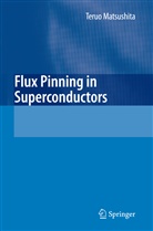 Teruo Matsushita - Flux Pinning in Superconductors