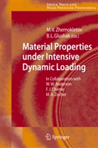 B. L. Glushak, Boris L. Glushak, L Glushak, L Glushak, Mikhai V Zhernokletov, Mikhail V Zhernokletov... - Material Properties under Intensive Dynamic Loading