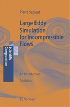 Charles Meneveau, P Sagaut, P. Sagaut, Pierre Sagaut - Large Eddy Simulation for Incompressible Flows