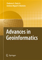 Clodove Augusto Davis, Clodoveu Augusto Davis, Clodoveu Augusto Davis, M V Monteiro, M V Monteiro, Antonio M. V. Monteiro - Advances in Geoinformatics
