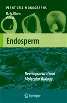 Odd-Arn Olsen, Odd-Arne Olsen - Endosperm
