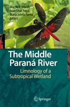 Jua César Paggi, Juan César Paggi, Martin H. Iriondo, María Julieta Parma, Juan César Paggi, María Julieta Parma - The Middle Paraná River
