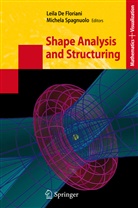 Leil De Floriani, Leila De Floriani, Leila Floriani, Leila de Floriani, Spagnuolo, Spagnuolo... - Shape Analysis and Structuring