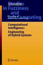 Danie Neagu, Daniel Neagu, Mircea G Negoita, Mircea Gh Negoita, Mircea Gh. Negoita, Vasile Palade - Computational Intelligence