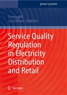 Florence Delestre, Elen Fumagalli, Elena Fumagalli, Luc Schiavo, Luca Schiavo, Florence Delestre... - Service Quality Regulation in Electricity Distribution and Retail