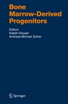 Katali Kauser, Katalin Kauser, Zeiher, Zeiher, Andreas-Michael Zeiher - Bone Marrow-Derived Progenitors