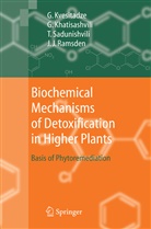 Gi Khatisashvili, Gia Khatisashvili, Georg Kvesitadze, George Kvesitadze, Jeremy J. Ramsden, Sadunishvili... - Biochemical Mechanisms of Detoxification in Higher Plants