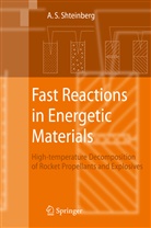 Alexander S Shteinberg, Alexander S. Shteinberg, Maria Rusanova - Fast Reactions in Energetic Materials