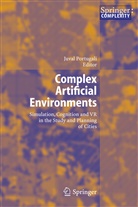 Juva Portugali, Juval Portugali - Complex Artificial Environments