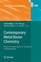 Tod B Marder, Todd B Marder, Lin, Lin, Zhenyang Lin, Todd B. Marder - Contemporary Metal Boron Chemistry I