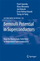 Ernst Helmut Brandt, Ja Kolácek, Jan Kolácek, Pave Lipavsky, Pavel Lipavsky, P. Lipavský... - Bernoulli Potential in Superconductors