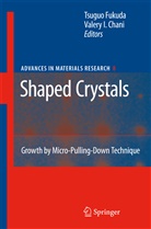 Valery I. Chani, Tsugu Fukuda, Tsuguo Fukuda, I Chani, I Chani - Shaped Crystals