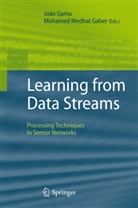 Mohamed Medhat Gaber, Joã Gama, Joao Gama, João Gama, Medhat Gaber, Medhat Gaber - Learning from Data Streams