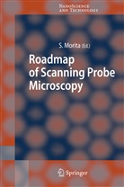 Seizo Morita, Seiz Morita, Seizo Morita - Roadmap of Scanning Probe Microscopy