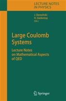 Ja Derezinski, Jan Derezinski, SIEDENTOP, Siedentop, Heinz Siedentop - Large Coulomb Systems