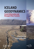 Freysteinn Sigmundsson - Iceland Geodynamics