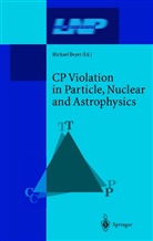 Michae Beyer, Michael Beyer - CP Violation in Particle, Nuclear, and Astrophysics