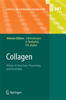 Jürgen Brinckmann, P K Müller, P. K. Müller, P.K. Müller, Holge Notbohm, Holger Notbohm - Collagen