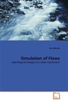 Ali Arslan - Simulation of Flows
