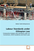 Mekdes Tadele Woldeyohannes - Labour Standards under Ethiopian Law