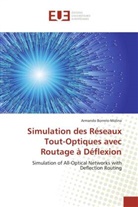 Armando Borrero-Molina, Borrero-Molina-A - Simulation des reseaux tout