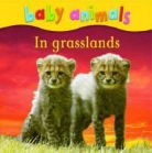 Kingfisher - Baby Animals: In Grasslands