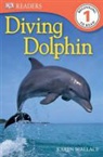 Karen Wallace - Diving Dolphin