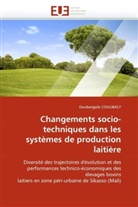 Doubangolo Coulibaly, Coulibaly-d - Changements socio techniques dans