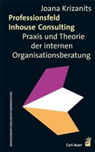 Joana Krizanits - Professionsfeld Inhouse Consulting