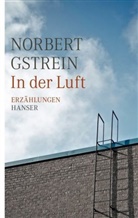 Norbert Gstrein - In der Luft