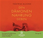 Tsültrim Allione, Agnes Pollner - Den Dämonen Nahrung geben, 1 Audio-CD (Audiolibro)