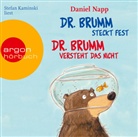 Daniel Napp, Stefan Kaminski - Dr. Brumm versteht das nicht / Dr. Brumm steckt fest, 1 Audio-CD (Audio book)