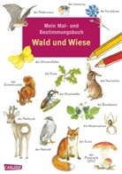 Henkel, RUDE, Imke Rudel, Christine Henkel - Mein Mal- und Bestimmungsbuch, Wald und Wiese