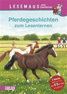 Julia Boehme, Ria Gersmeier, Petra Wiese - Pferdegeschichten zum Lesenlernen