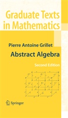 Pierre Antoine Grillet - Abstract Algebra