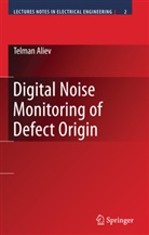 Telman Aliev, Tel'man Aliev - Digital Noise Monitoring of Defect Origin