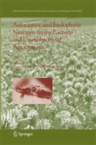 E Newton, E Newton, Claudin Elmerich, Claudine Elmerich, William E. Newton - Associative and Endophytic Nitrogen-fixing Bacteria and Cyanobacterial Associations