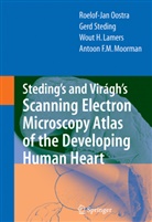 Wout H et al Lamers, Wout H. Lamers, Antoon F. M. Moorman, Antoon F.M. Moorman, R Oostra, R J Oostra... - Steding's and Virágh's Scanning Electron Microscopy Atlas of the Developing Human Heart