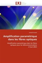 Arnaud Mussot, Mussot-A - Amplification parametrique dans