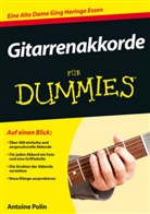 Oliver Fehn, Antoine Polin - Gitarrenakkorde für Dummies
