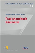 Mario Bruns, Christoph Eckert, Wolfgang Veldboer - Praxishandbuch Kämmerei