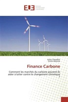 Emilie Alberola, Julie Chevallier, Julien Chevallier, Collectif - Finance carbone