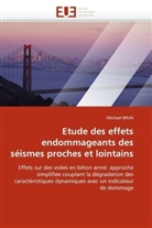 Michael BRUN, Brun-m - Etude des effets endommageants