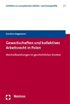 Karolina Stegemann - Gewerkschaften und kollektives Arbeitsrecht in Polen