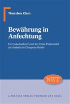 Thorsten Klein - Bewährung in Anfechtung