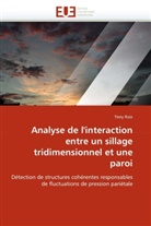 Tony Ruiz, Ruiz-T - Analyse de l interaction entre un